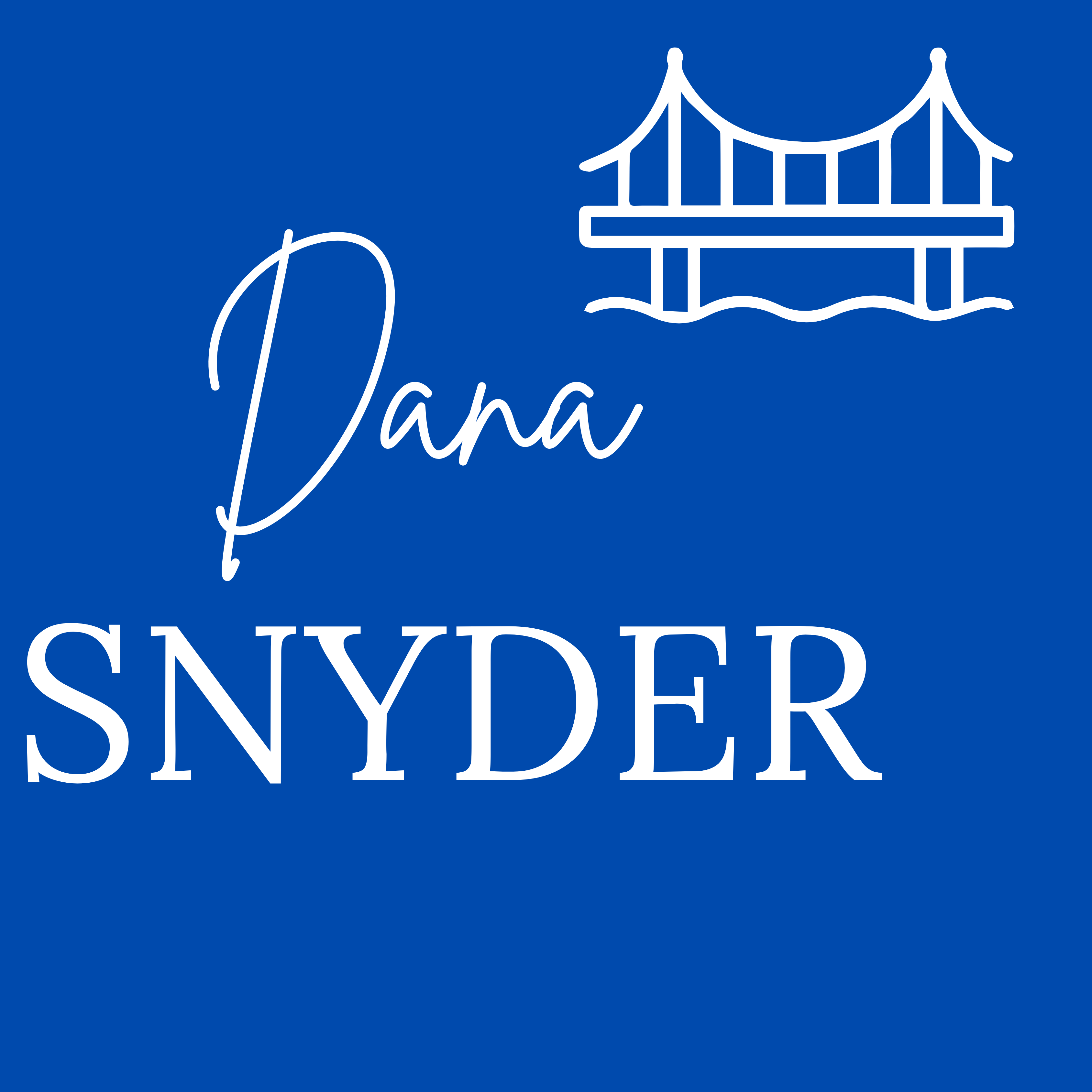 Mayor Dana Snyder